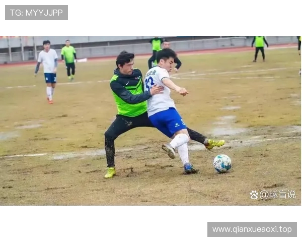 谢晖：足球水平停滞不前源于选材有限，踢球人才数量不足是关键因素